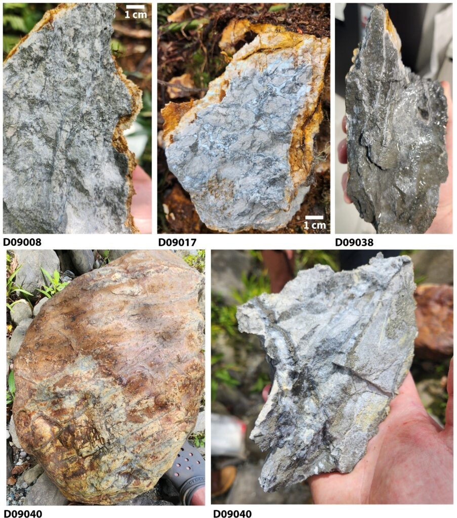 490b28bc 4845 B1ef 9153 Df8ee683a687